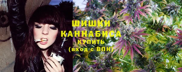 МДПВ Вяземский