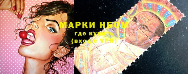 гидропоника Горнозаводск