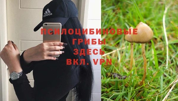 мескалин Горняк