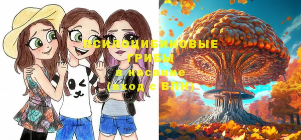 спайс Вязьма