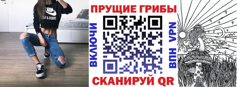Купить  Кремёнки  Галлюциногенные грибы Magic Shrooms 